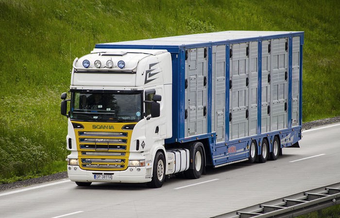 Hanfreight